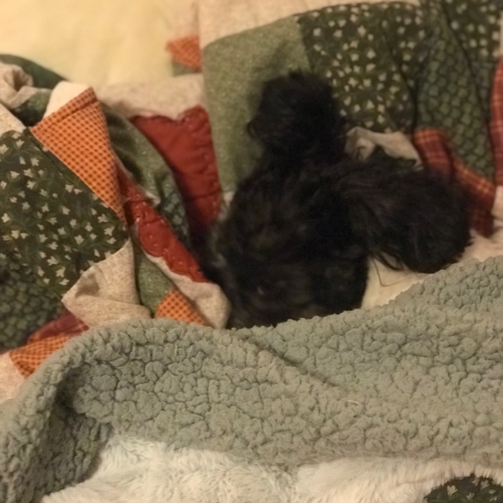 Meet your Posher, Jen